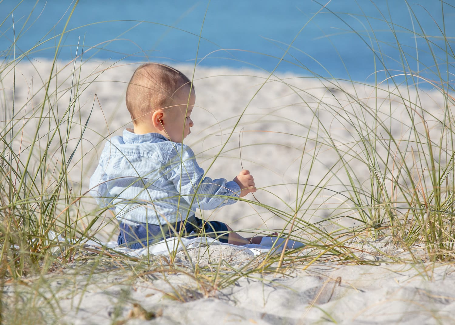 A baby wearing a light blue shirt sits on sandy beach among dune grasses, looking toward the water under a clear sky.