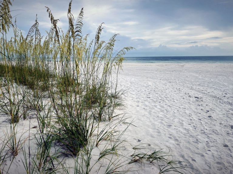 Tall grass grows on a white sandy Marco Island beach with gentle ocean waves in the background under a partly cloudy sky.