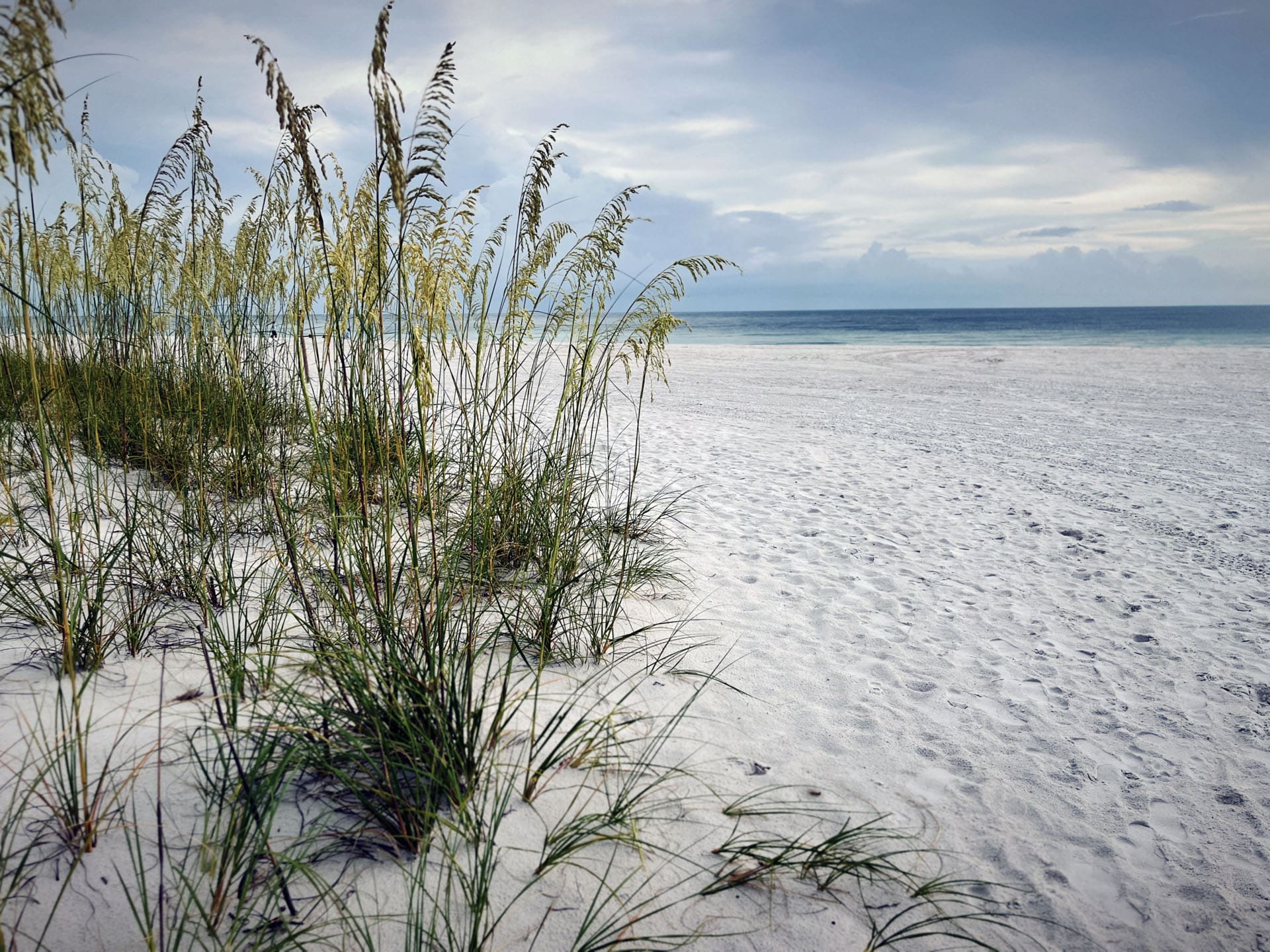 Tall grass grows on a white sandy Marco Island beach with gentle ocean waves in the background under a partly cloudy sky.