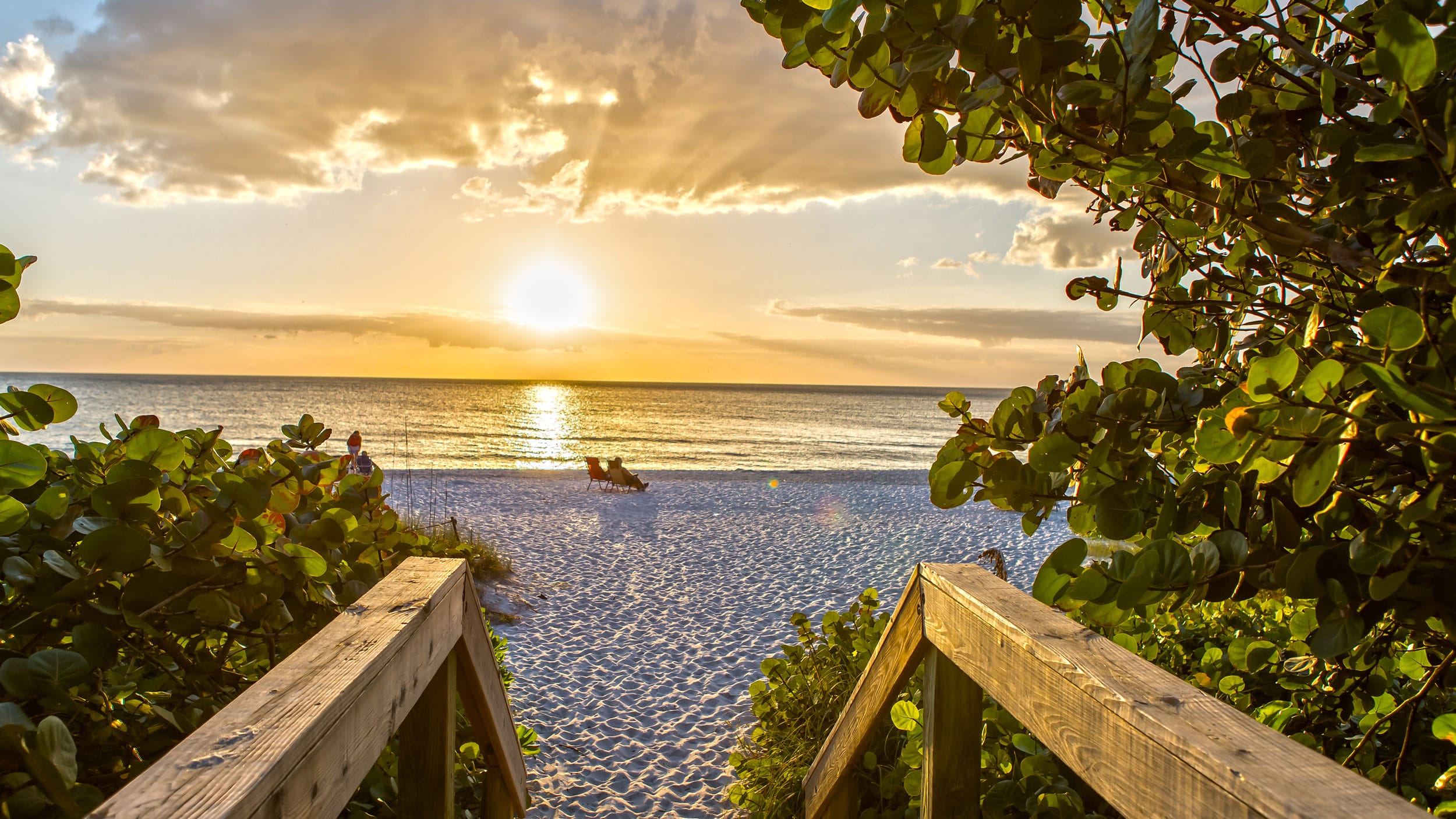Wooden stairs lead down to a sandy beach at sunset in Naples, one of the top 10 must-visit attractions for families, with leafy green plants framing the scene and golden sunlight casting magic over the ocean and sky.